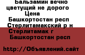 Бальзамин вечно-цветущий не дорого. › Цена ­ 100 - Башкортостан респ., Стерлитамакский р-н, Стерлитамак г.  »    . Башкортостан респ.